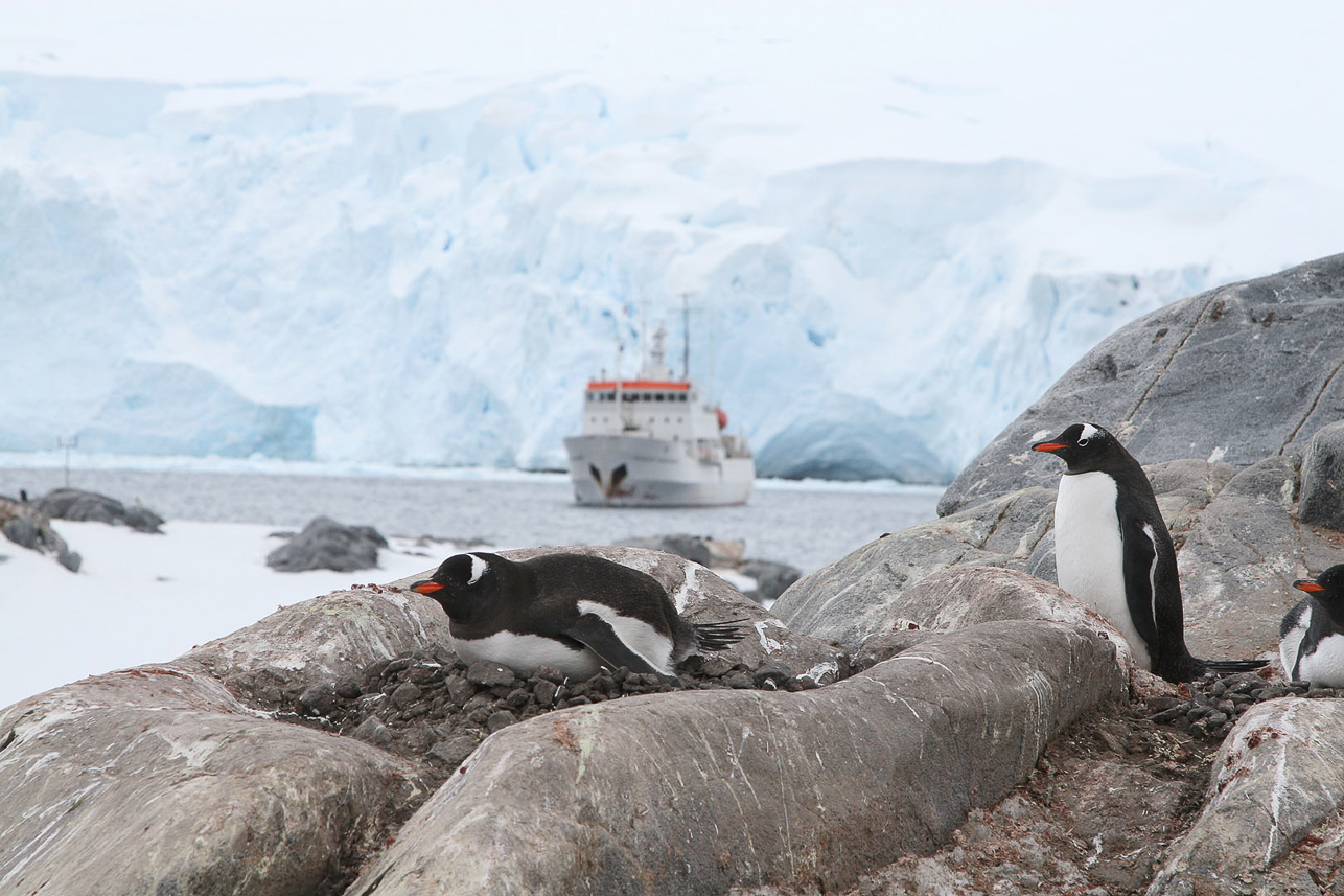 Ankring i "hamnen" vid Port Lockroy