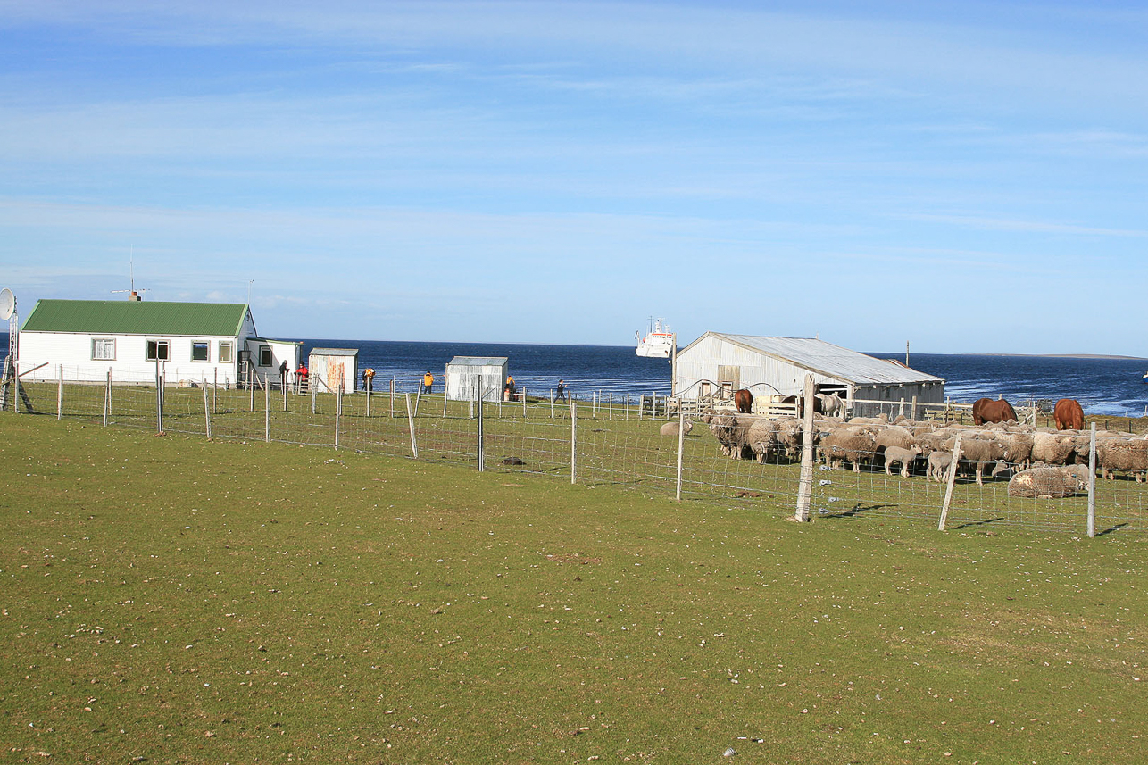 Ensam gård på George Island