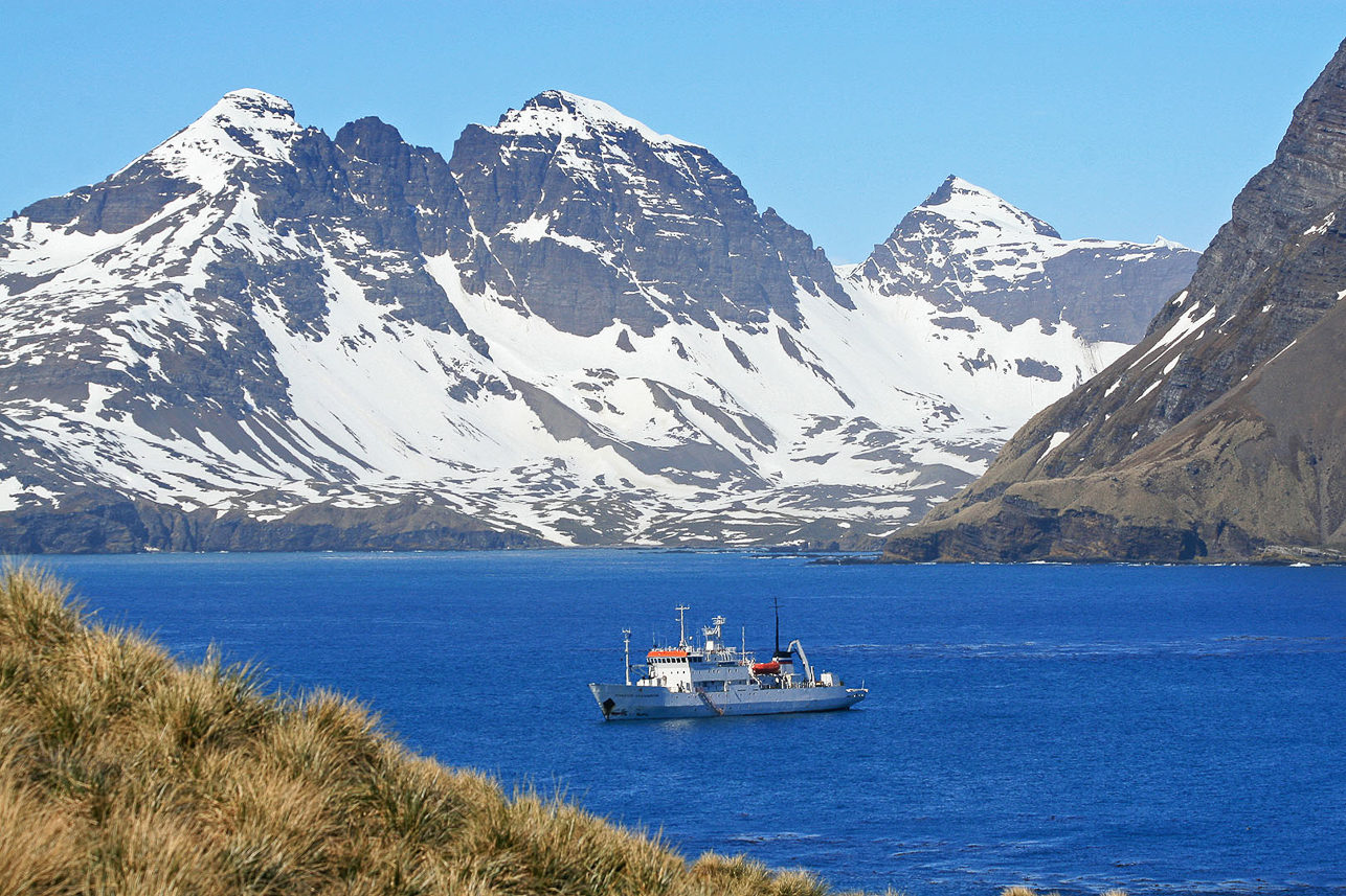 Ankring Prion Island