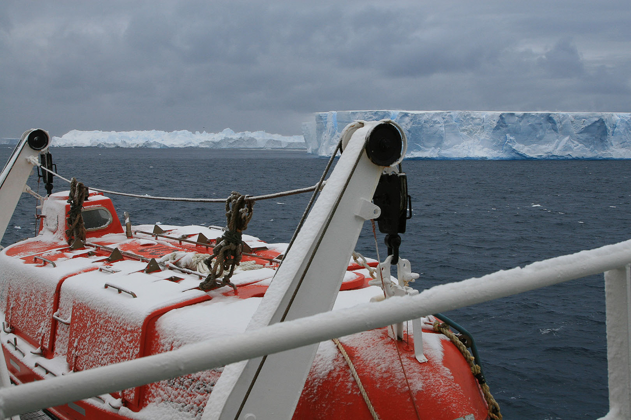 Bland isbergen mot Paulet Island