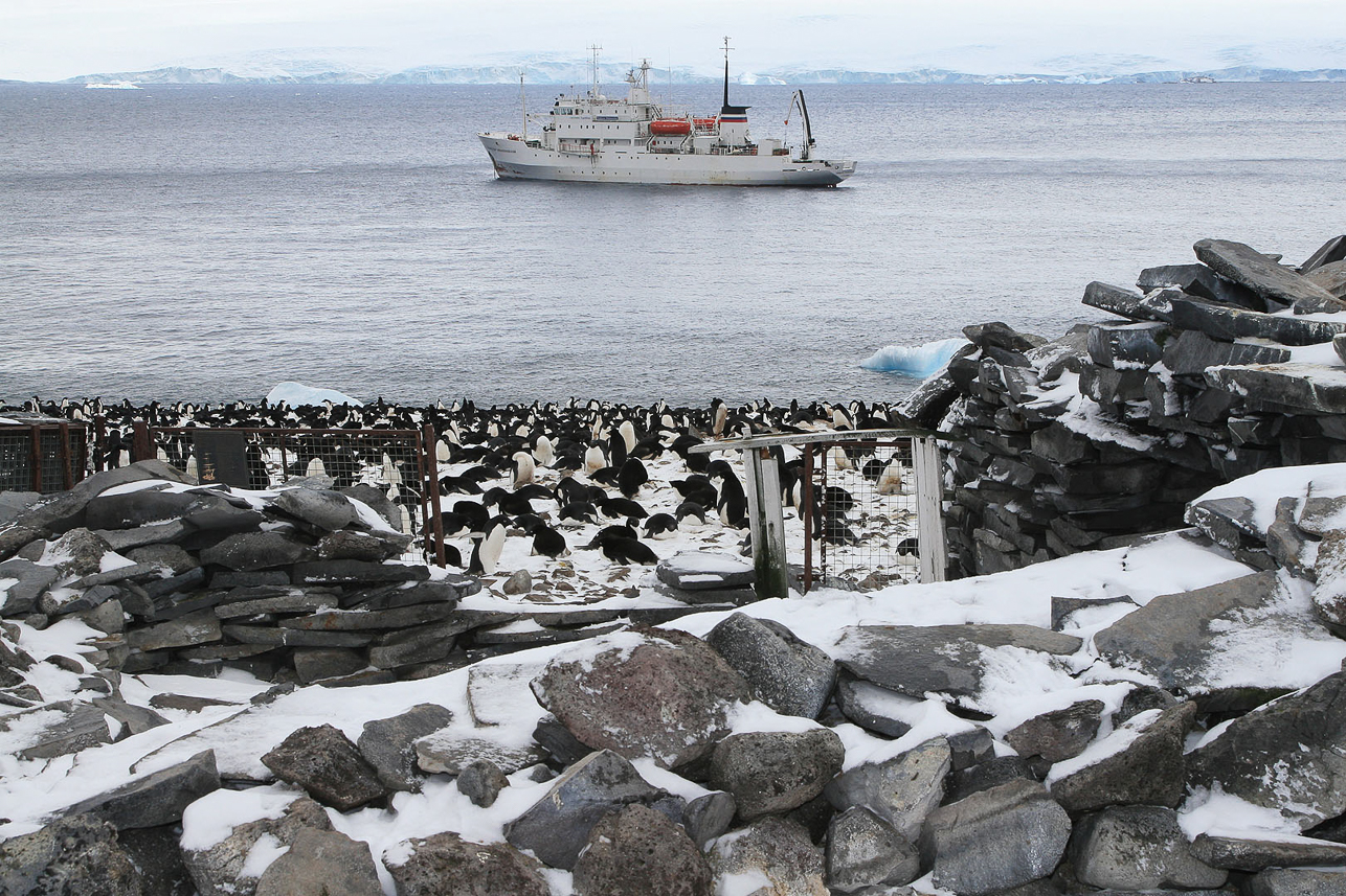 Stenhydda från Nordenskiölds övervintringsexpedition