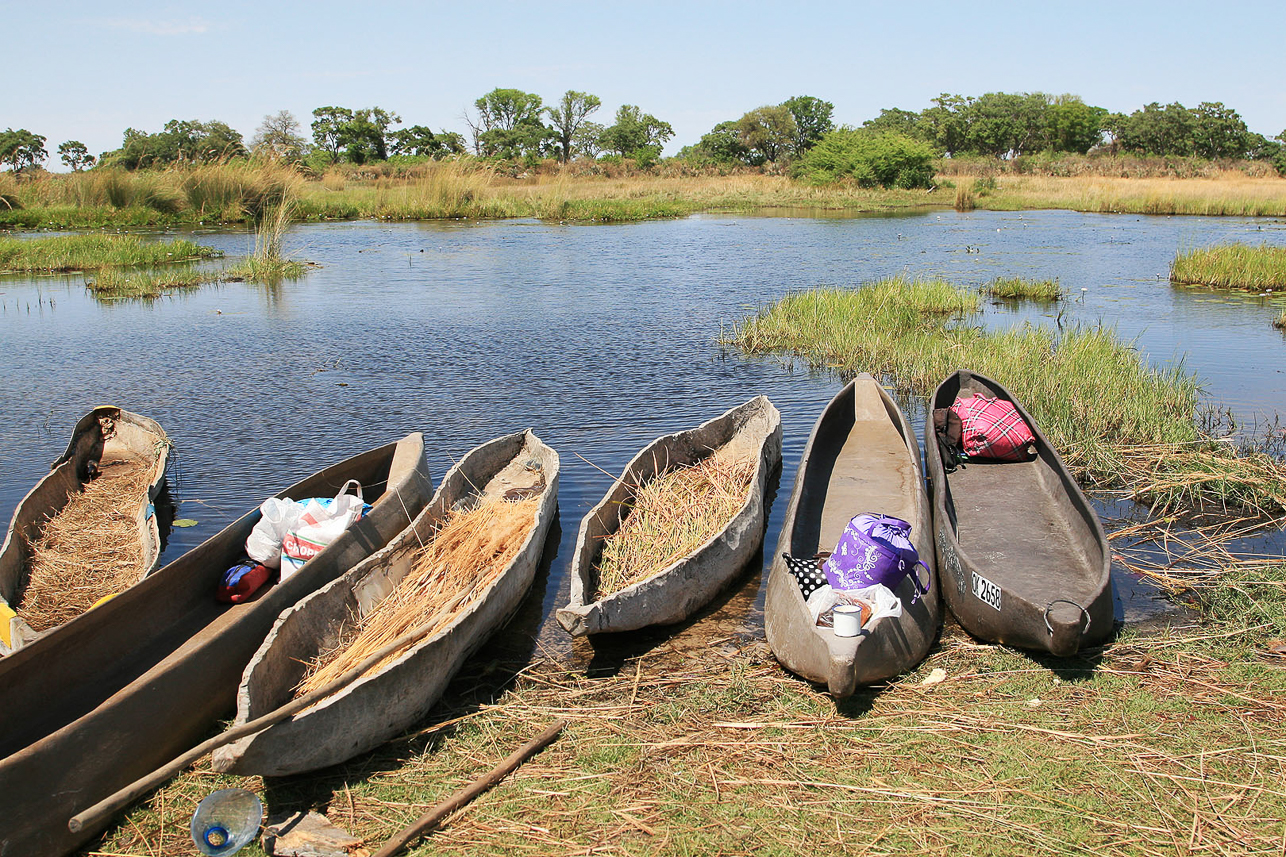 Our mokoros used for three days. 4 week, 4 men to build a mokoro from a tree, lasting for 5 years. Modern mokoros are built in plastic, saving the trees.