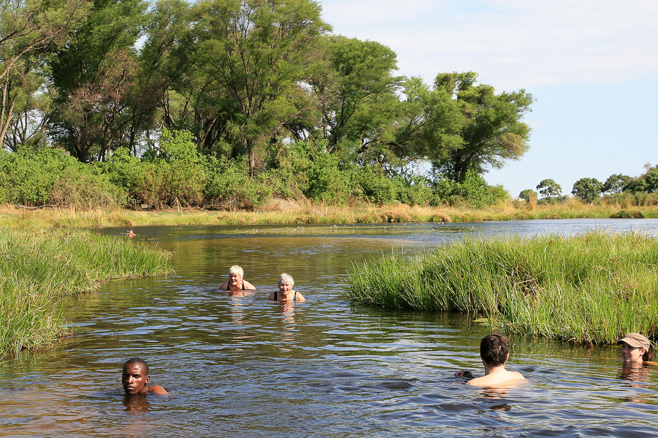 Swim in the warm stream, refreshing