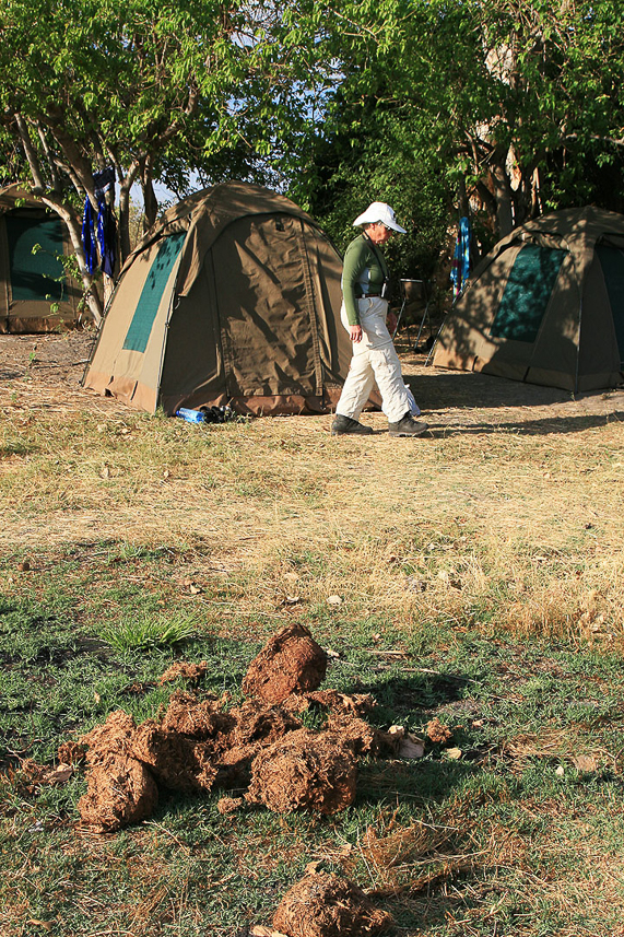 Elephant droppings outside our tent