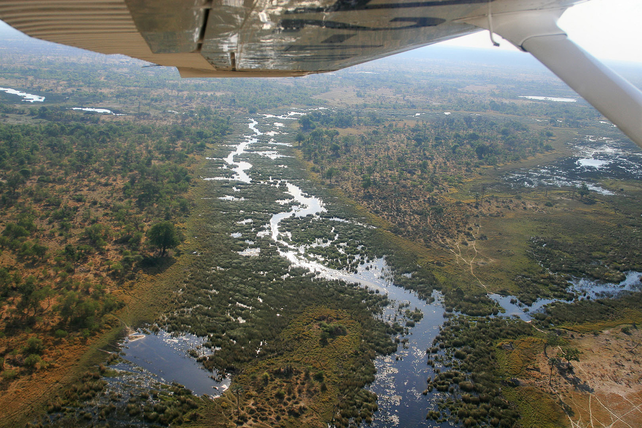 Okavango delta