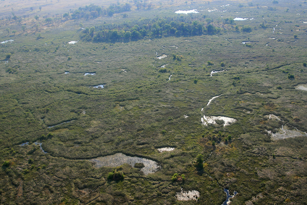 Okavango delta