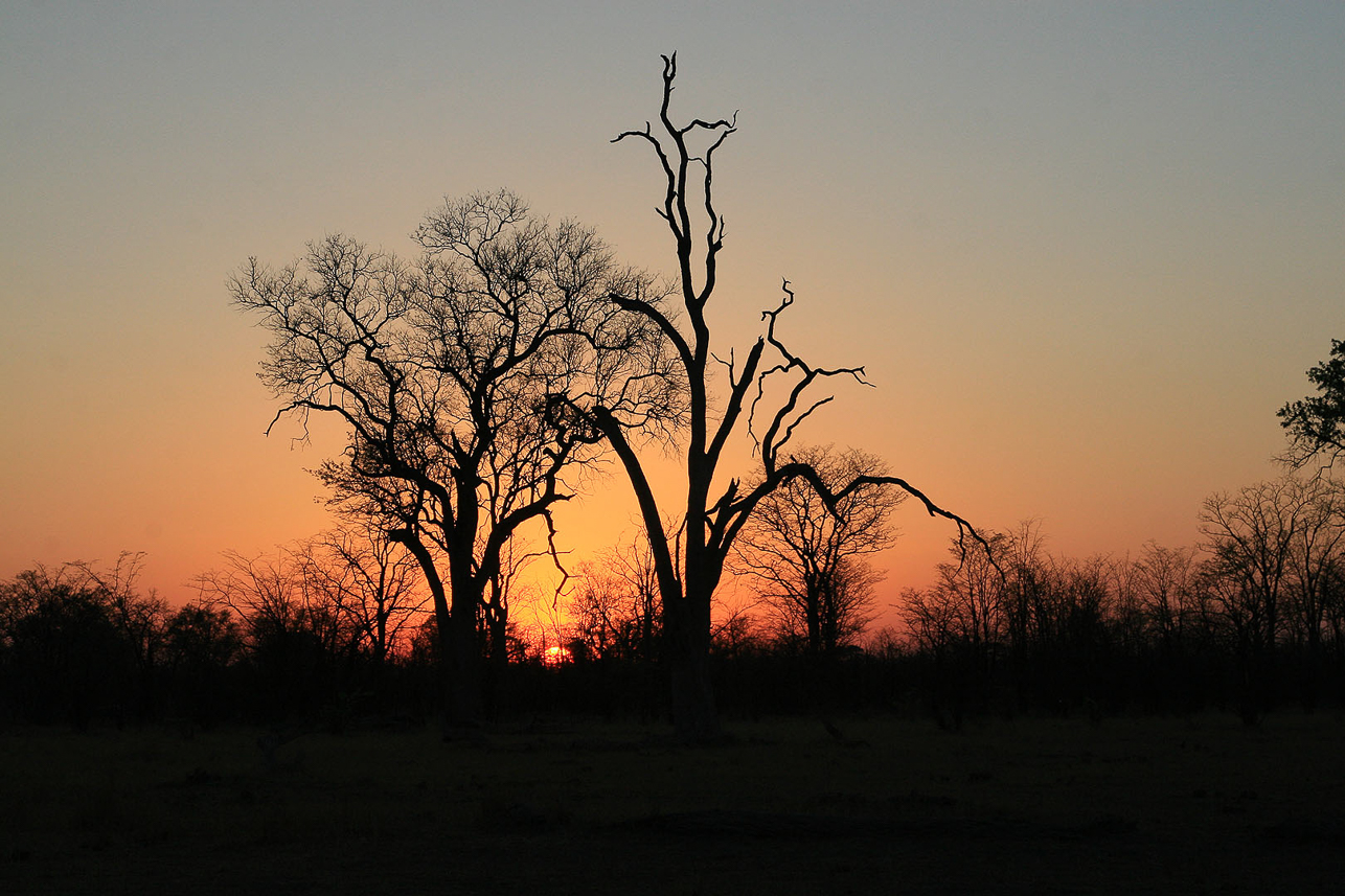 Sunset in Savuti