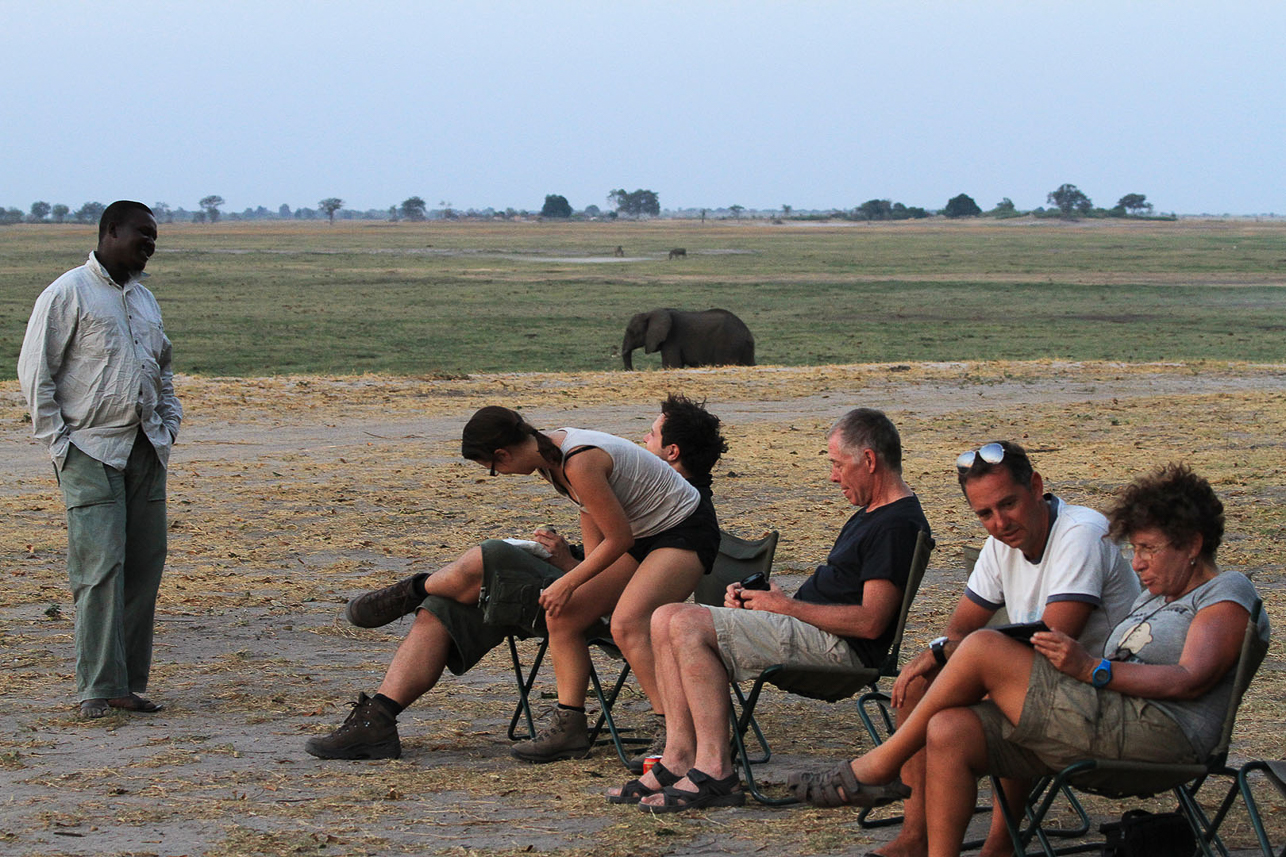 An elephant passes by