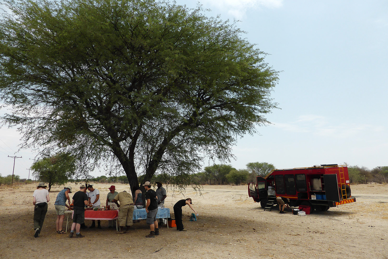 Lunch in the shadow