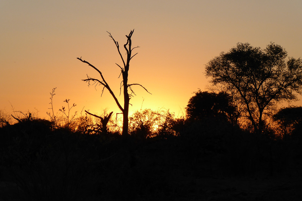 Sunset in Okavango