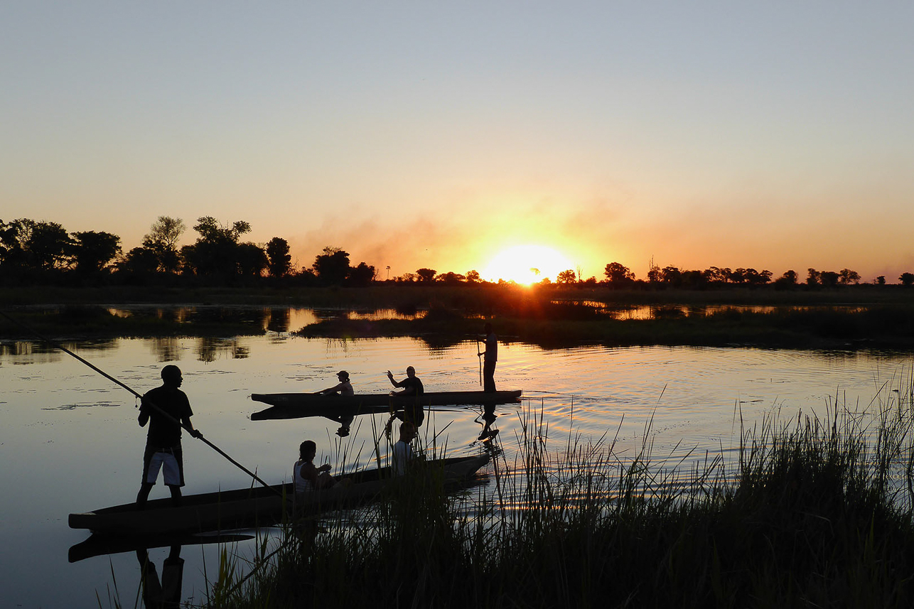 Sunset tour in the Okavango delta