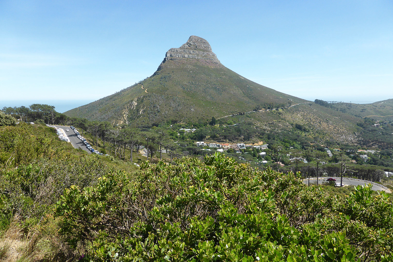 Lion's head close to Table Mountain