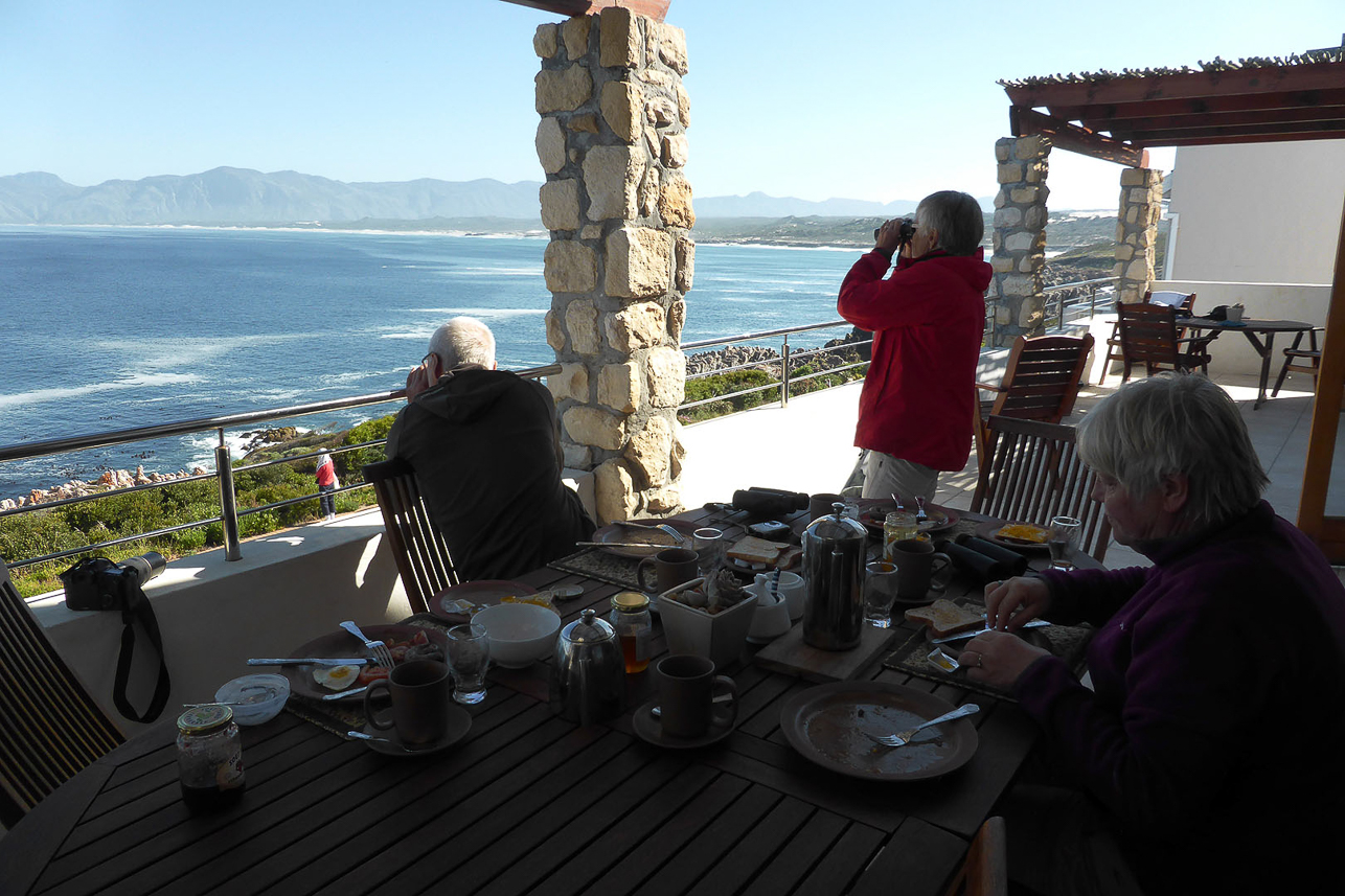 Whale watching from our guesthouse balcony