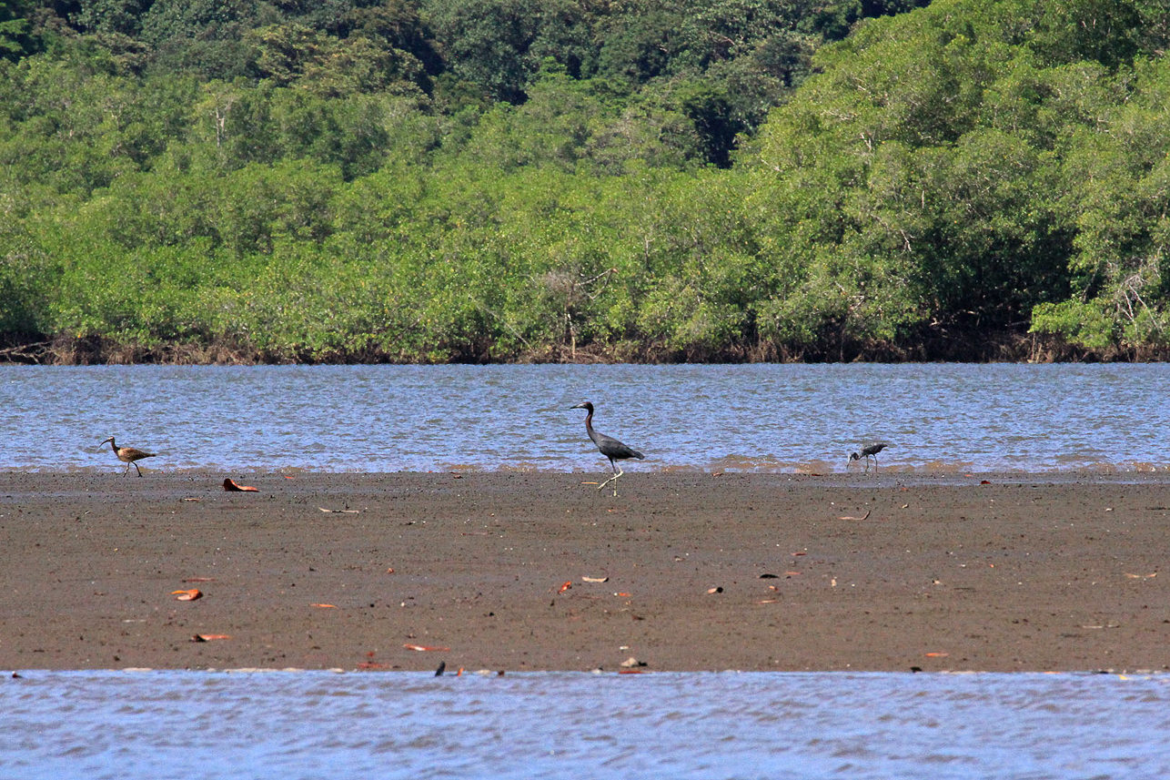 Along the river