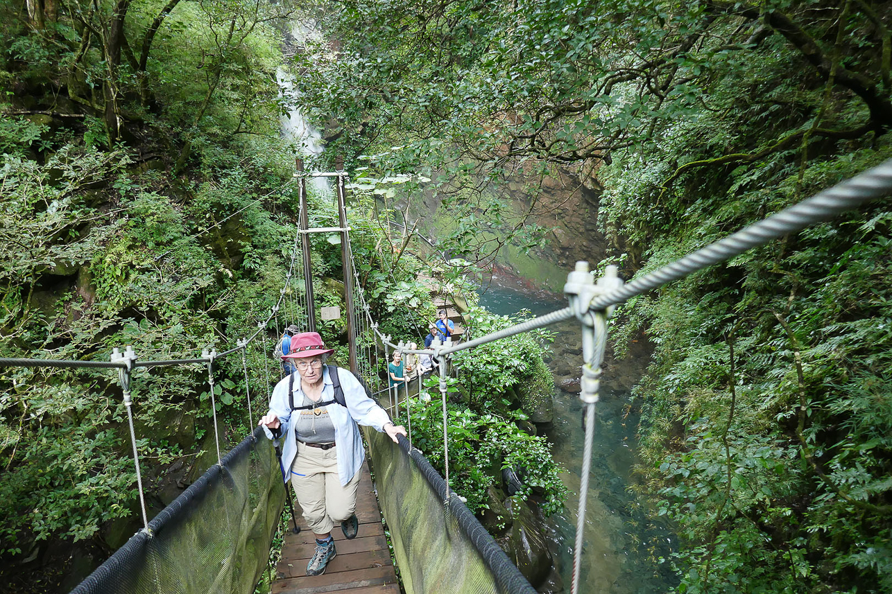 Bridges high up in the trees