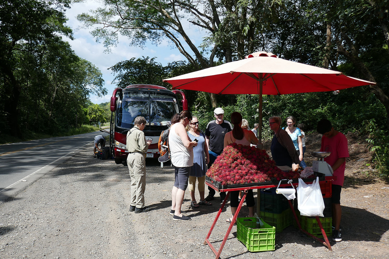 Buying lychees while the bus is repaired