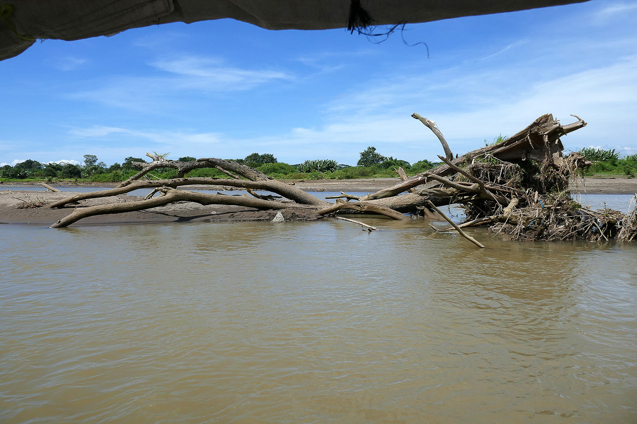 The river (crocodile nose visible)