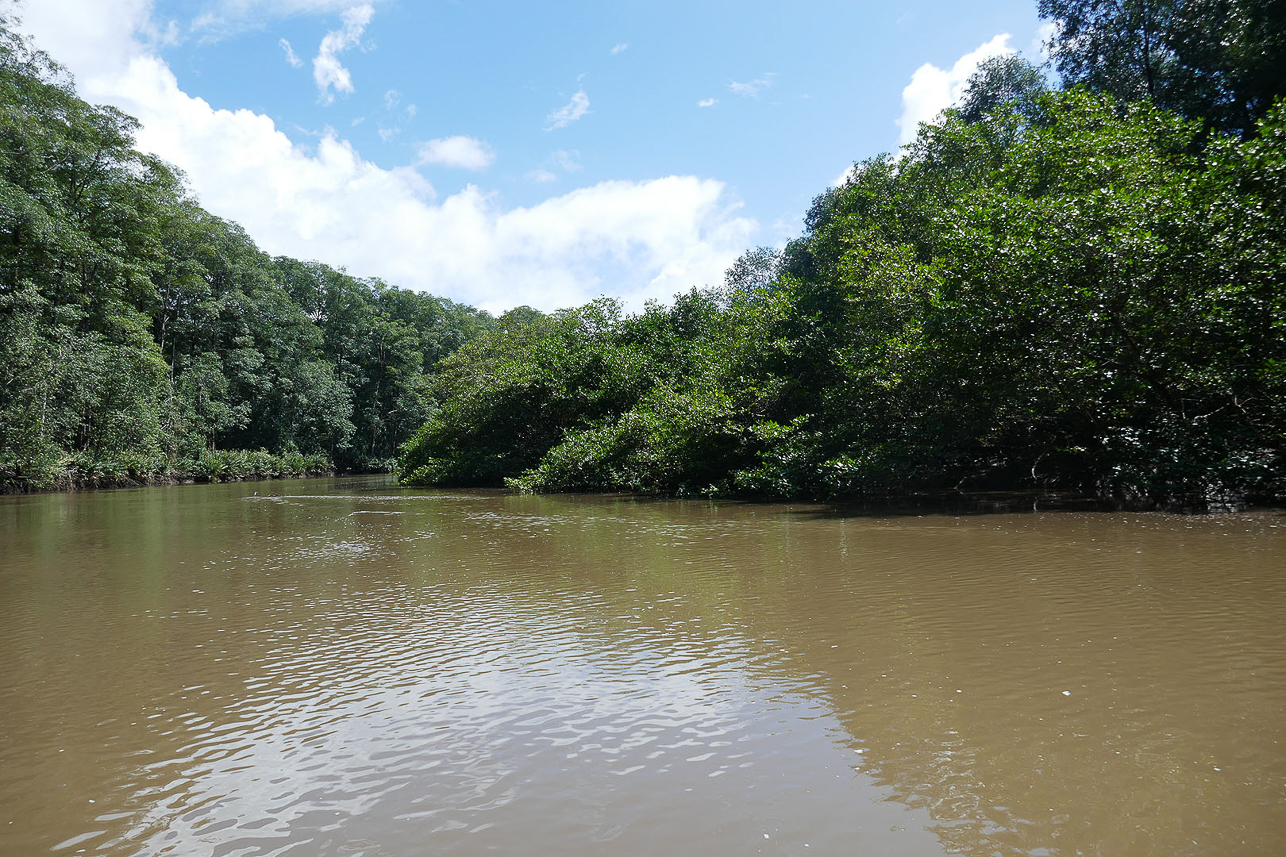 Along the river