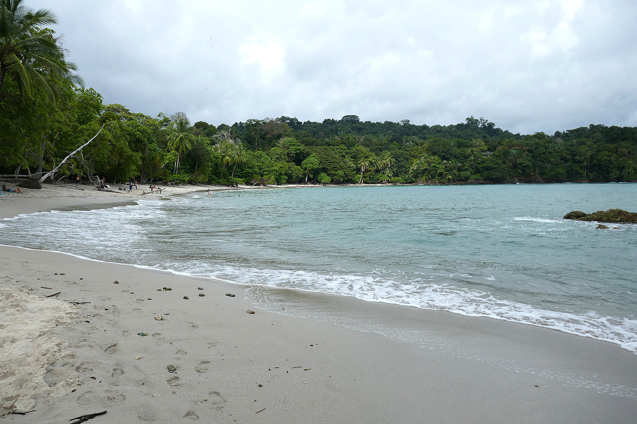 Manuel Antonio national park