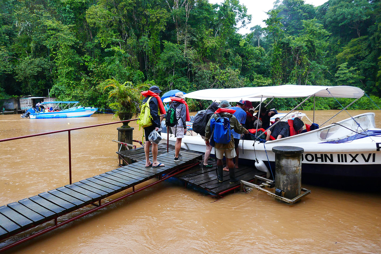 Cruise to the Corcovado national park