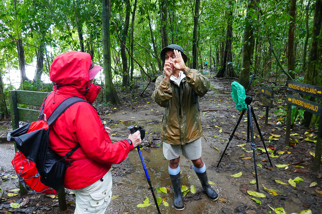 Bird watching in the rain period