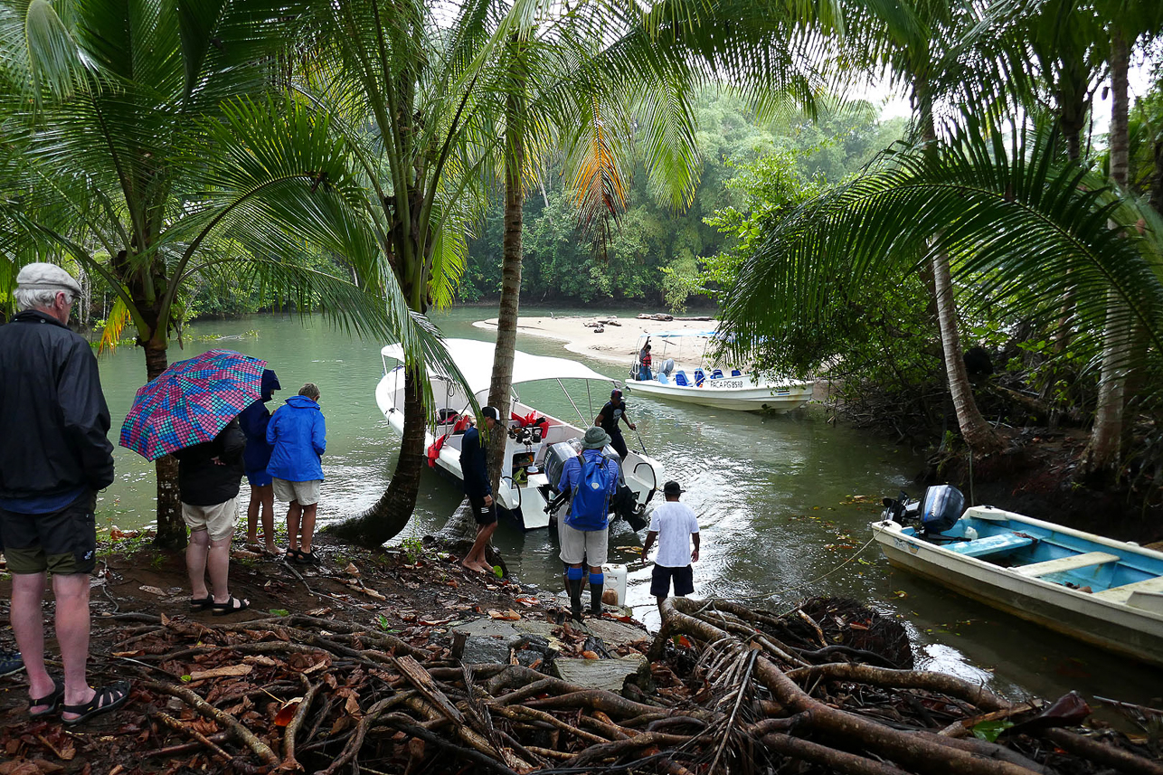 Sheltered place at the Corcovado coast