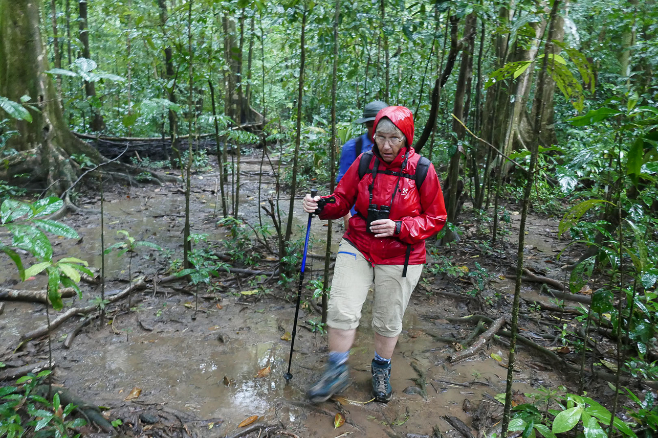 Rainy walk in the rain forest