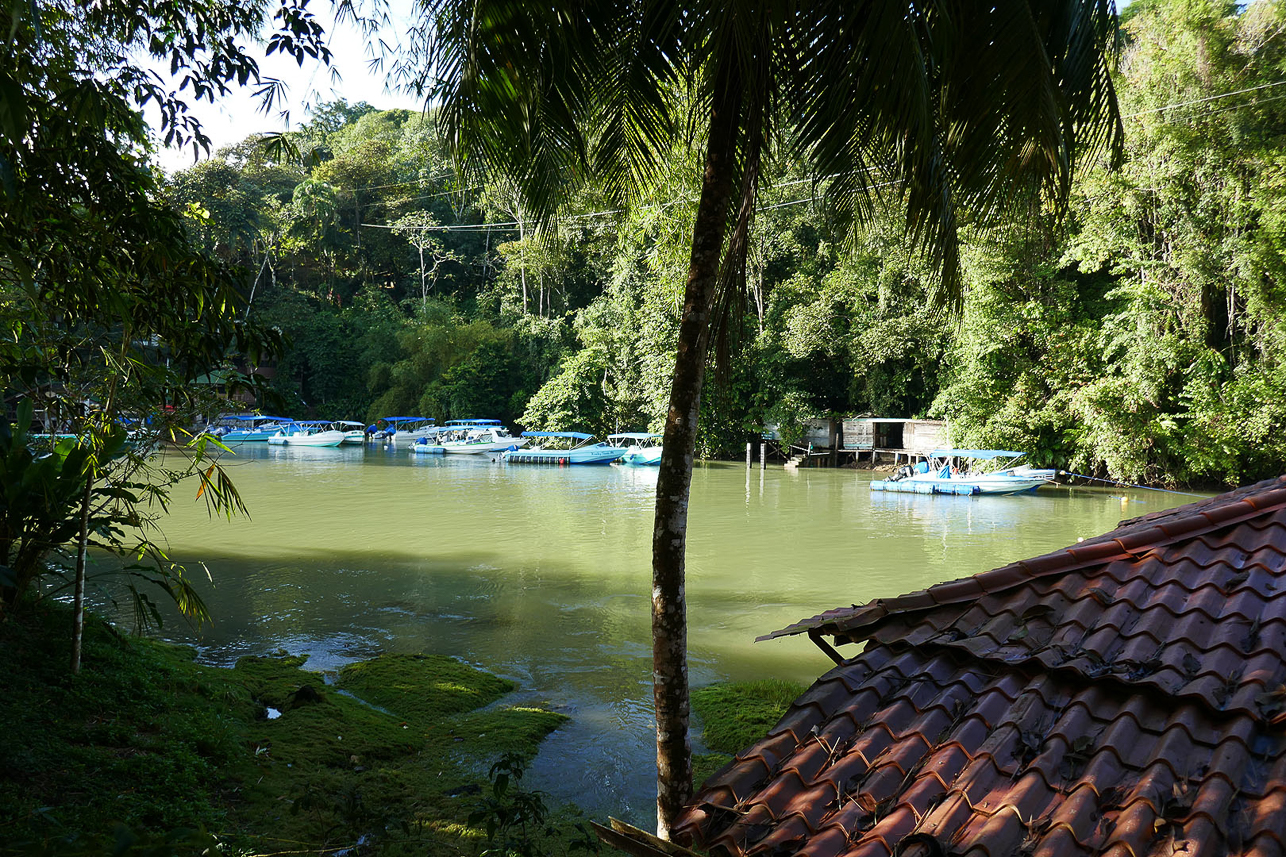 The harbour close to the resort, leaving Osa.