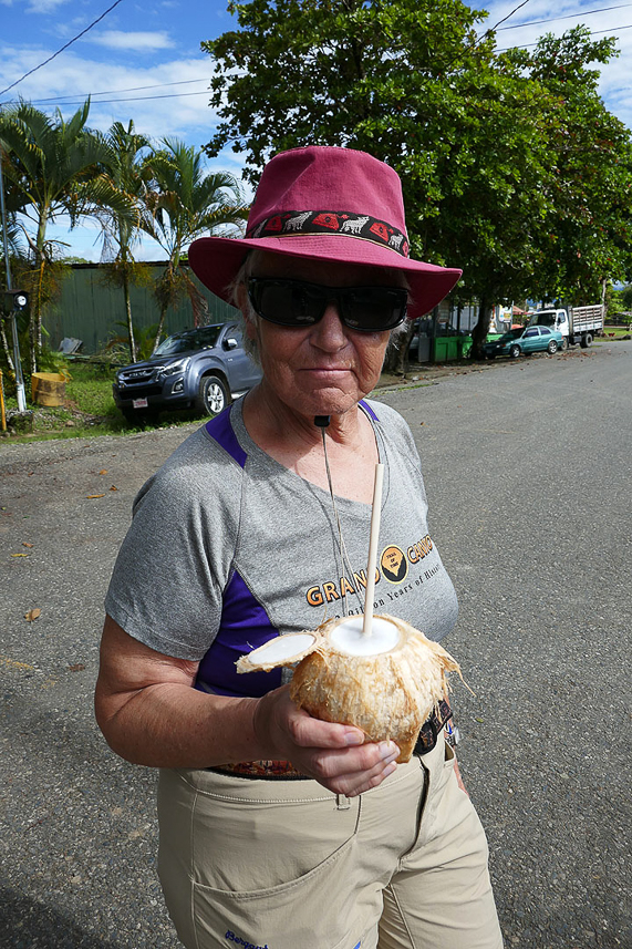 Refreshing coconut