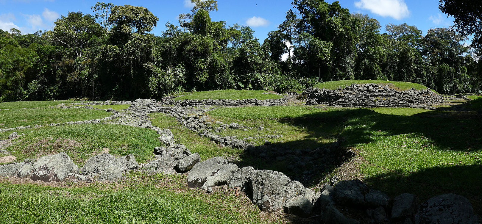 Guayabo