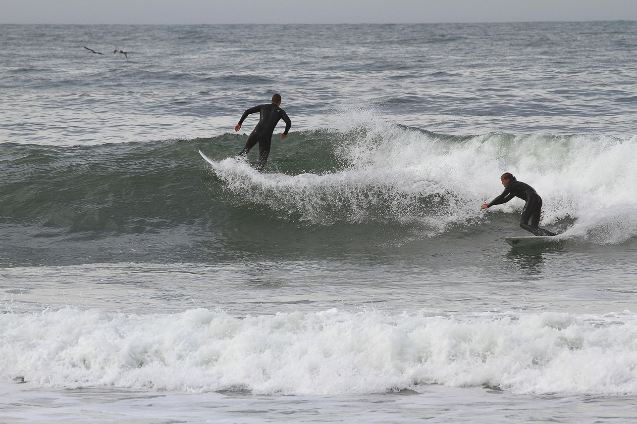 Surfing