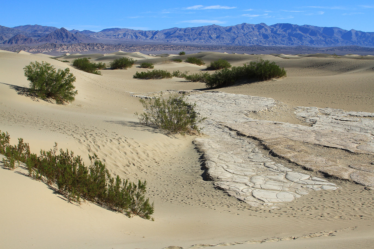 Mesquite Flats Dune Field