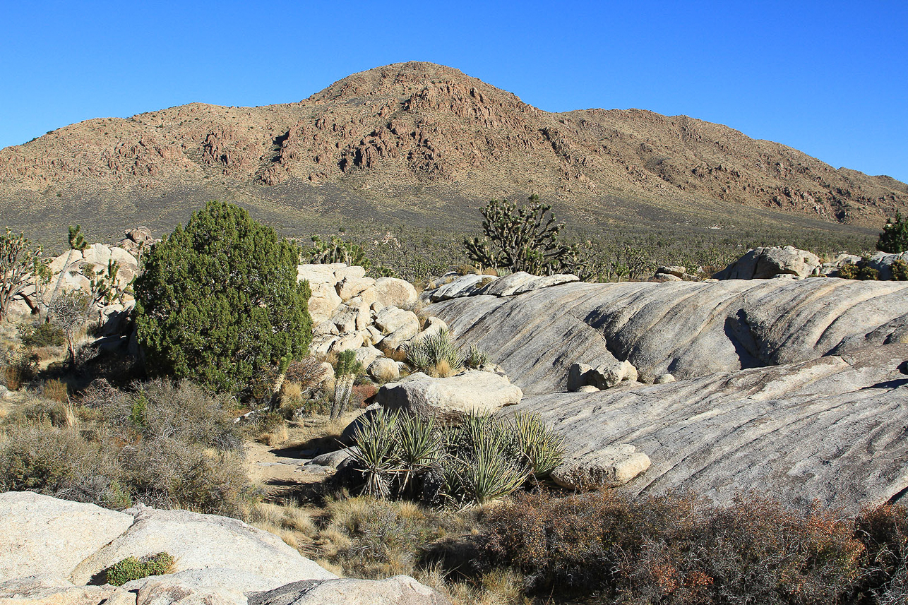 Mojave National Preserve