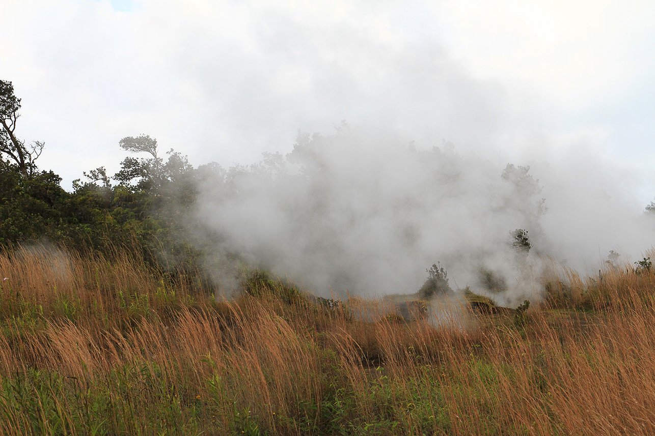 Steam vents at Kiluauea