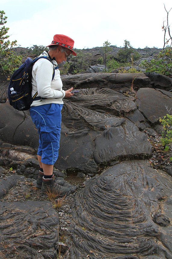 Camilla in lava field