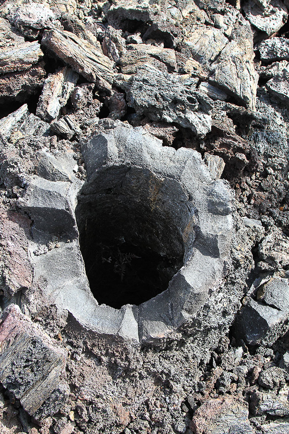 Lava around tree.