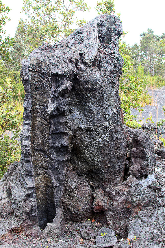 Lava around former tree.