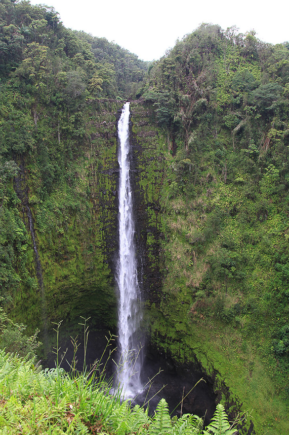 Akaka Falls (133 meter)