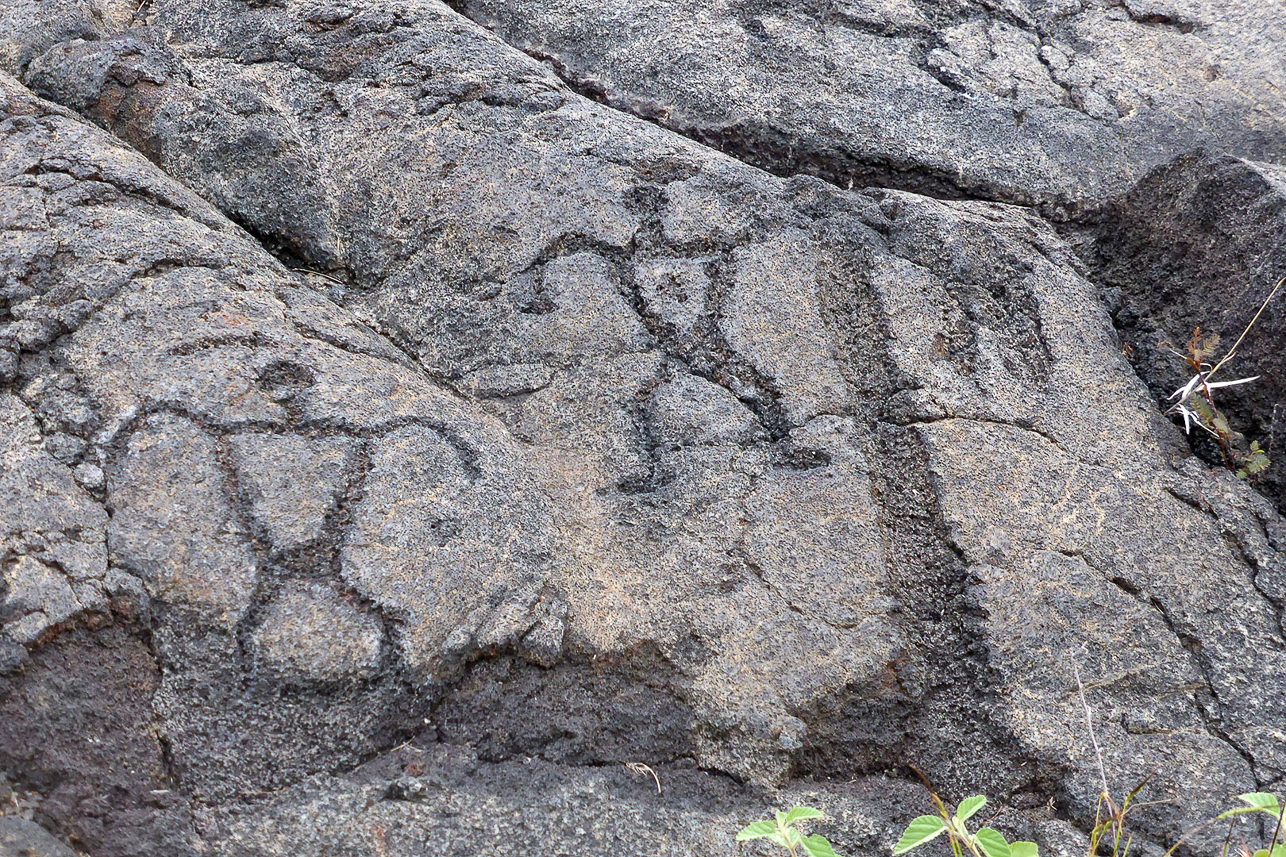 Rock carvings