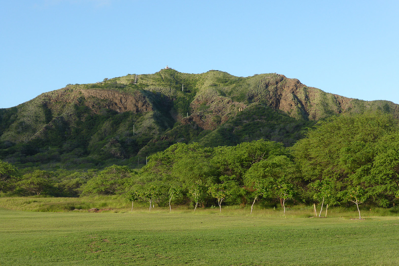 Diamond Head, in the old crater.