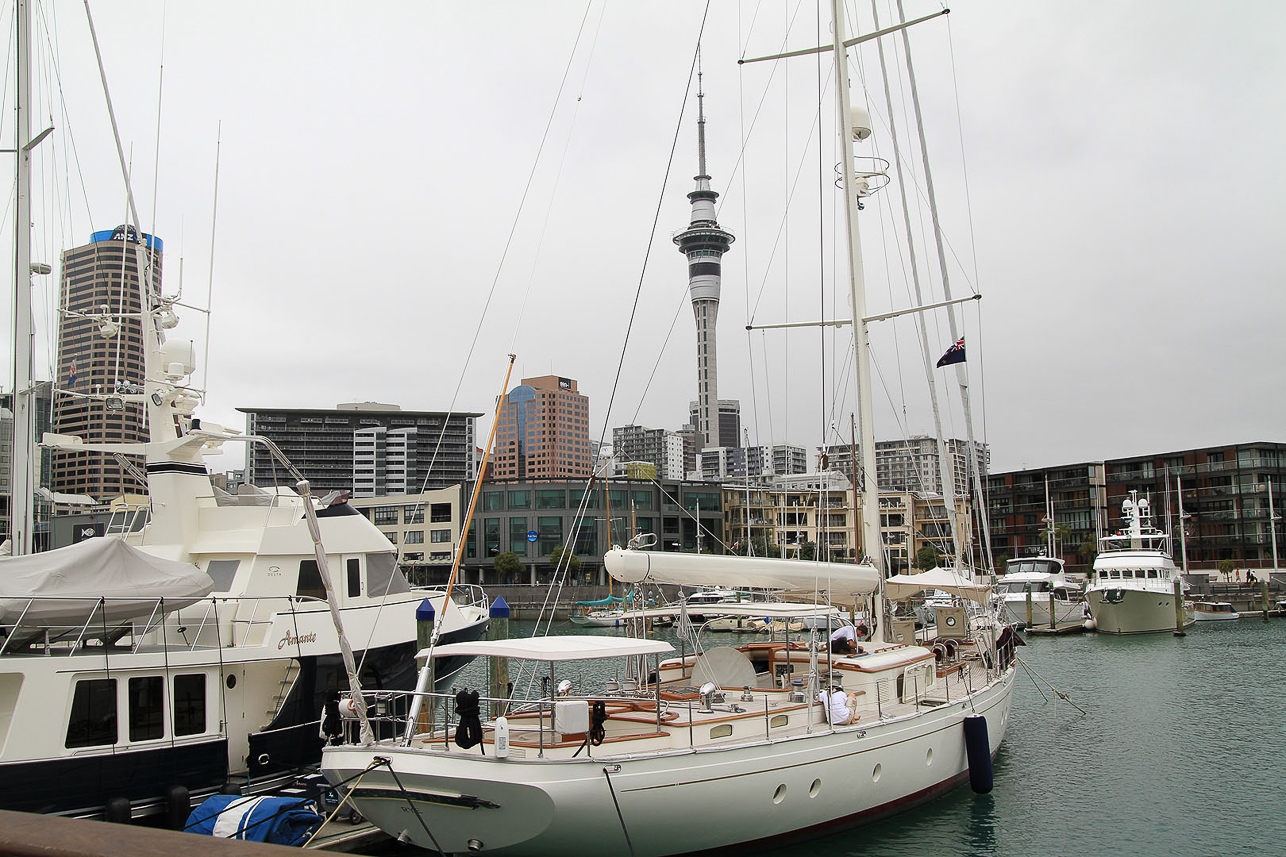 Auckland harbour