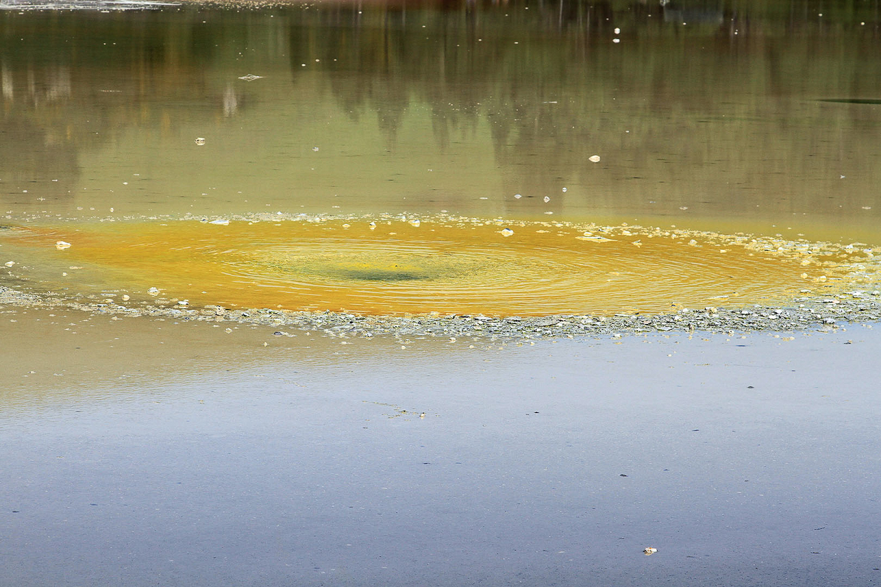 Wai-o-tapu geothermical area, Artist's Palette