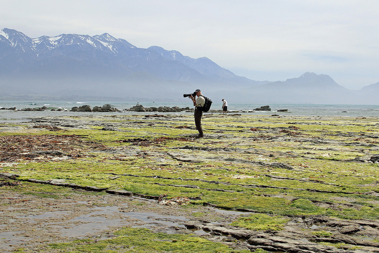 Low land outside Kaikoura