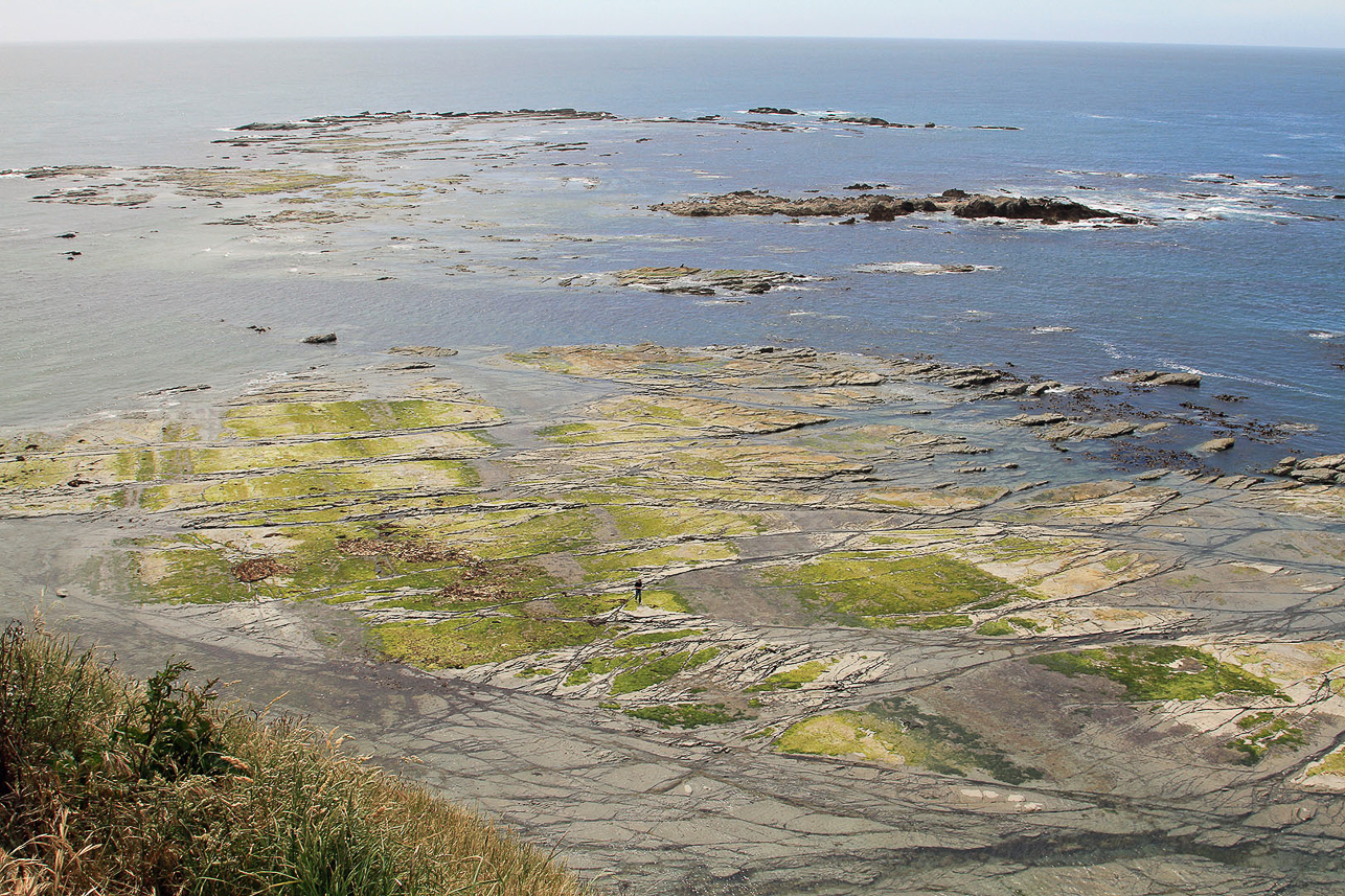 Kaikoura, place for fur seals