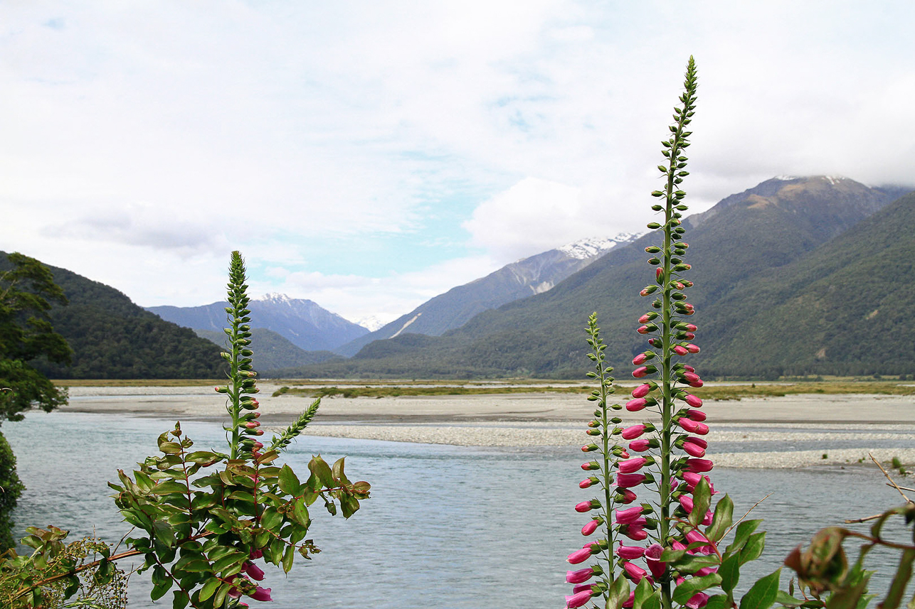 On the road to Wanaka