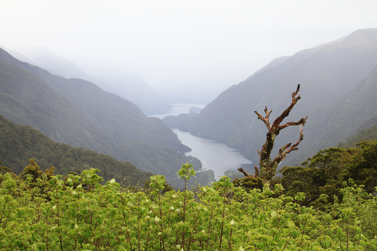 Doubtful Sound from Wilmot pass, 671 m. The road built for the construction of the Manapouri power station 1963-65