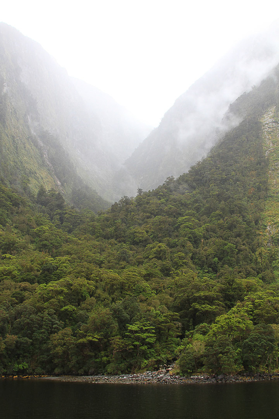 Doubtful Sound, very green due to all rain