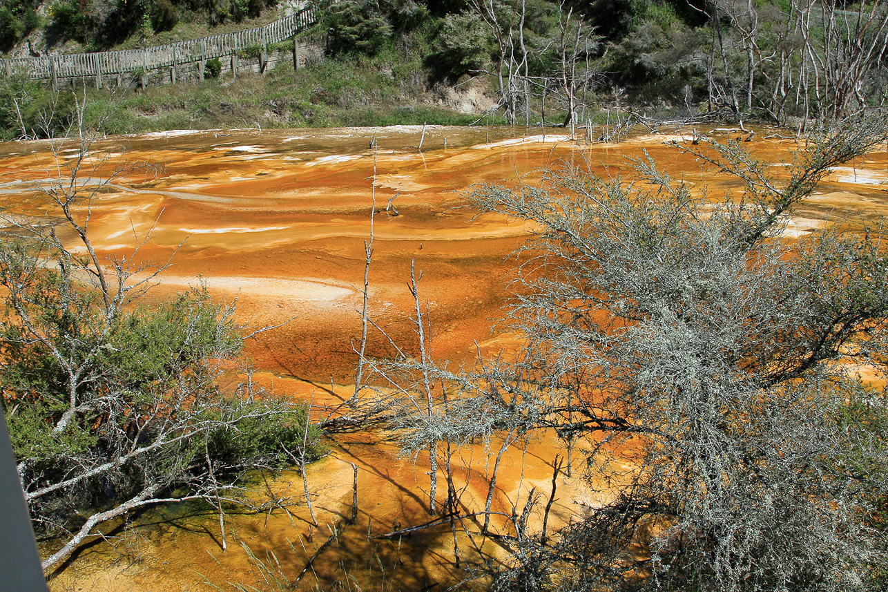 Volcanical activity at Waimangu Volcanic Valley