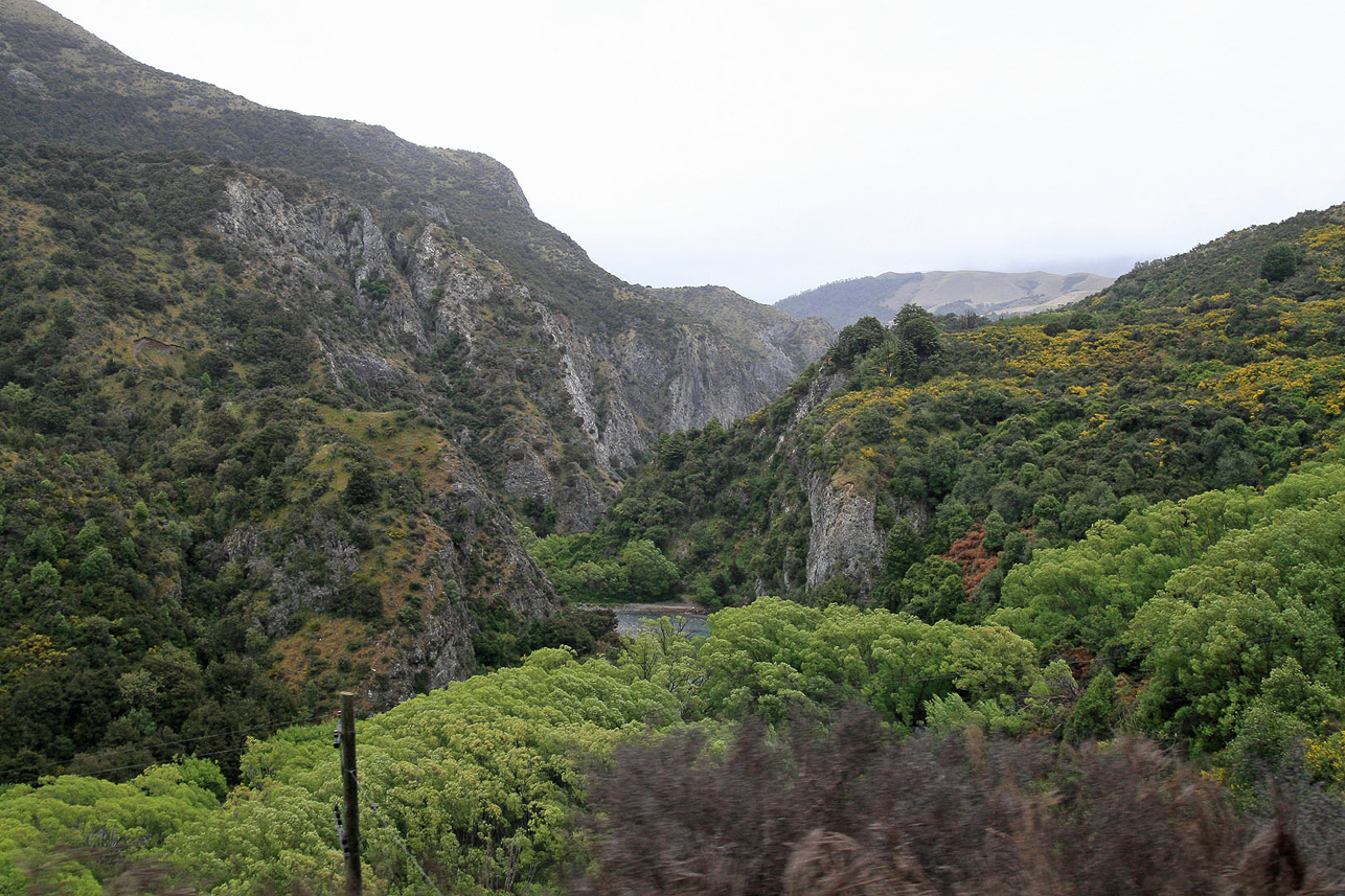 View from Tranz Scenic railway