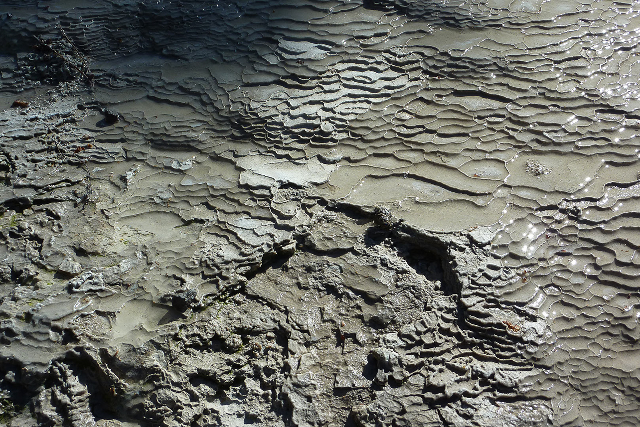 Wai-o-tapu geothermical area, The Primrose Terrace